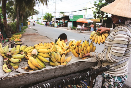 Ủ trái cây bằng đất đèn, ảnh hưởng sức khỏe - Sài Gòn Tiếp Thị