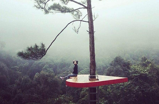 Khám phá 7 điểm đến Đà Lạt trong một ngày Khám phá 7 điểm đến Đà Lạt trong một ngày