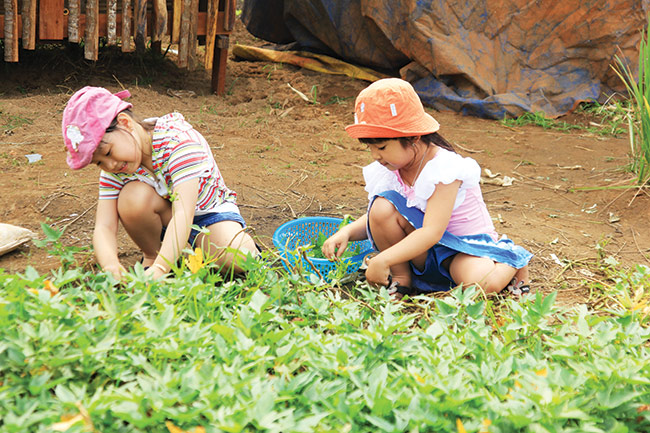 Đưa trẻ đi dã ngoại