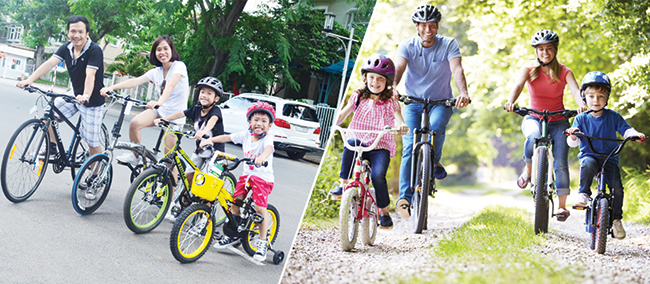 365_Xe-dap-the-thao2