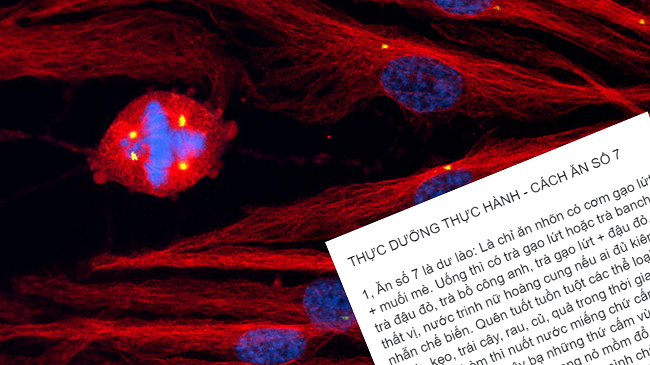 Thực hư chế độ ăn thực dưỡng chữa được ung thư?