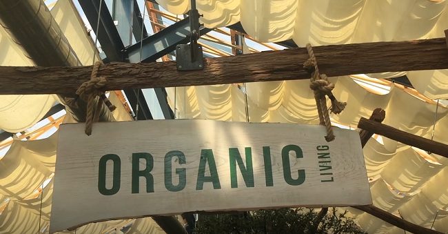 Quán cà phê cho người “nói không với đồ nhựa” Quán cà phê cho người “nói không với đồ nhựa”