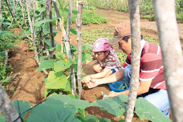 Đi chơi nông trại học được nhiều điều