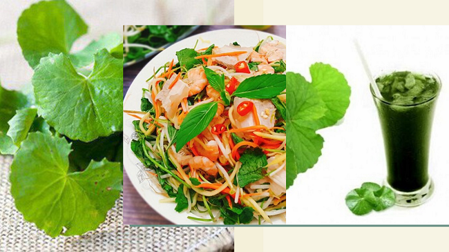 Cách làm những món ăn, thức uống giải nhiệt từ rau má