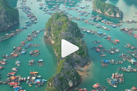 Tài tử Leonardo DiCaprio kêu gọi khách du lịch bảo vệ môi trường ở vịnh Lan Hạ