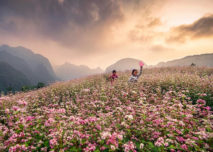 du lịch mùa đông