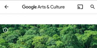 Thánh địa mỹ sơn