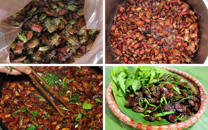 Massey’s Fine Indian Cuisine