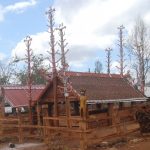 ky thu tuong nha mo Gia-rai9