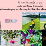 du lịch đà lạt 15 ngày