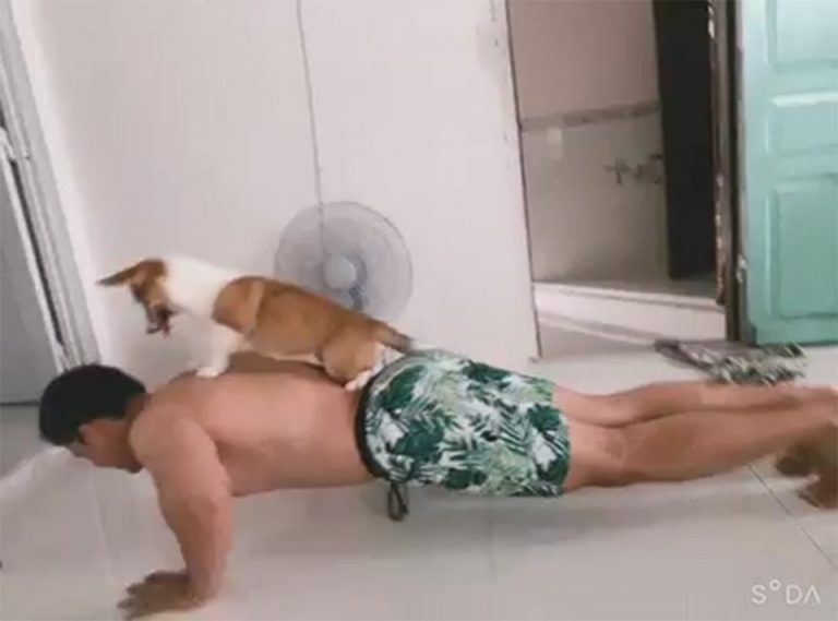 Ở nhà mùa dịch: rèn luyện các nhóm cơ với bài tập chống đẩy Ở nhà mùa dịch: rèn luyện các nhóm cơ với bài tập chống đẩy