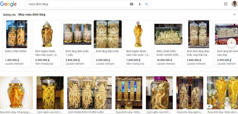 Thực hư từ những hũ rượu ngâm cây đinh lăng