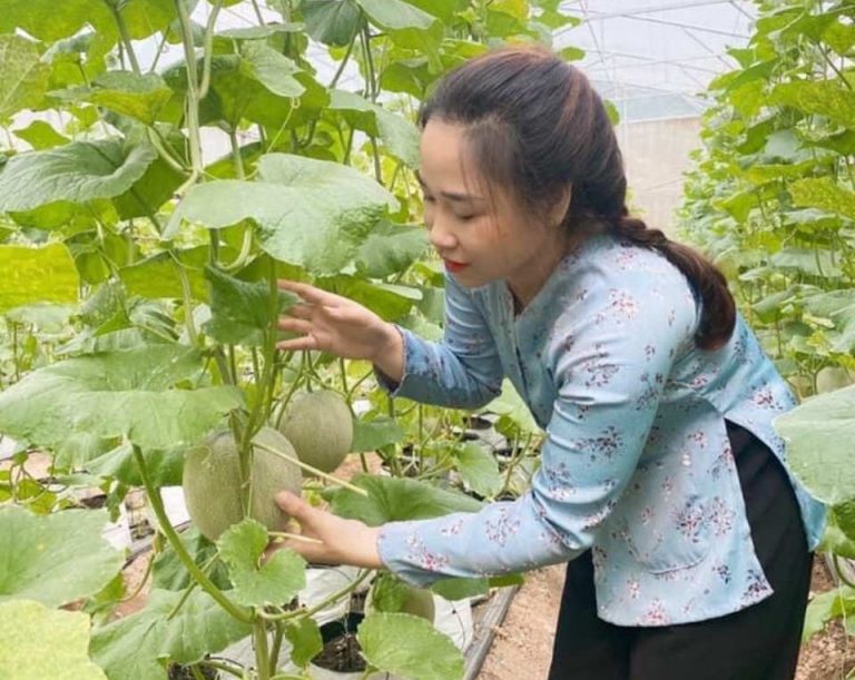 Ở nhà mùa dịch: Trào lưu “hóa nông dân” của sinh viên