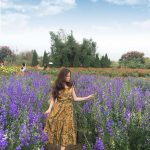 214011291_1445344709163009_8977131088538080441_n