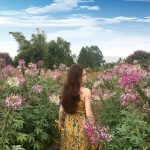 216409091_1445344515829695_2159840443691717266_n