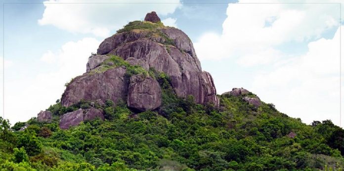 218224703_10218688072064204_402319279235621866_n