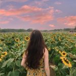 220512158_1445344825829664_7779580455261957865_n