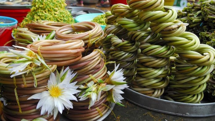 Du lịch miền Tây màu nước nổi (1)