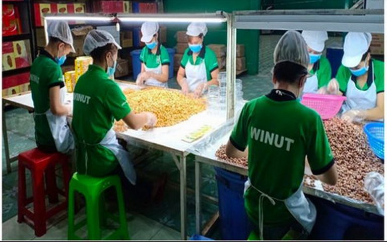 Bình Phước: Nhiều cơ hội mới cho các startup kinh doanh hạt điều Bình Phước: Nhiều cơ hội mới cho các startup kinh doanh hạt điều