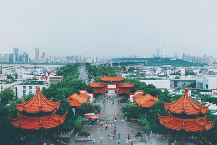 229233770_1781115312072970_460468254279308279_n