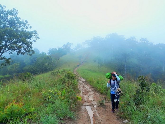 230650424_1780861892098312_1346410367446811069_n