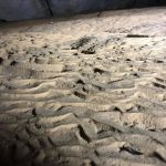 Động Ngườm Ngao, Cao Bằng