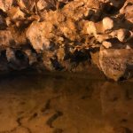 Động Ngườm Ngao, Cao Bằng