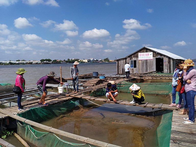 Tìm về ký ức ở Cồn Sơn