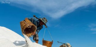 làng muối Cần Giờ