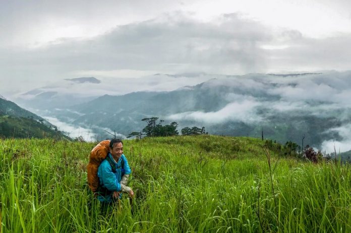 phung thanh huy - mưa rừng