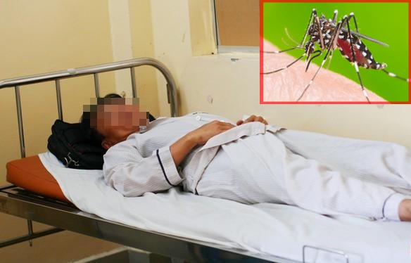 Những hiểu lầm tai hại khiến bệnh sốt xuất huyết trở nặng