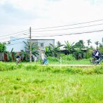 Bình Quới – Dương Minh Phượng