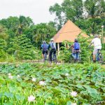 Bình Quới – Dương Minh Phượng