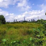 Bình Quới – Dương Minh Phượng