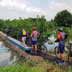 Bình Quới – Dương Minh Phượng