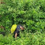 Ảnh: Trúc Mai, Cường Núi lửa