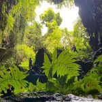 Ảnh: Trúc Mai, Cường Núi lửa