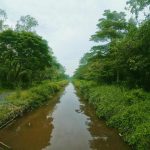 Rừng Lê Minh Xuân _ Ly Thanh Quan