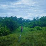 Rừng Lê Minh Xuân _ Ly Thanh Quan