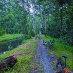 Rừng Lê Minh Xuân _ Ly Thanh Quan