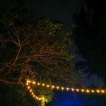 Núi Chúa – Khu dụ trữ sinh quyển thế giới _ Ảnh Ngọc Huệ