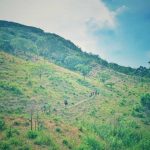 Núi Chúa – Khu dụ trữ sinh quyển thế giới _ Ảnh Ngọc Huệ