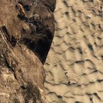 Cù Lao Chàm _ Lê Thanh Lượng