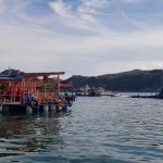 Núi Chúa – Khu dụ trữ sinh quyển thế giới _ Ảnh Ngọc Huệ