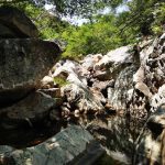 Núi Chúa – Khu dụ trữ sinh quyển thế giới _ Ảnh Ngọc Huệ