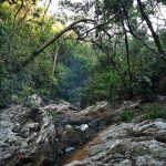 Núi Chúa – Khu dụ trữ sinh quyển thế giới _ Ảnh Ngọc Huệ