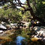 Núi Chúa – Khu dụ trữ sinh quyển thế giới _ Ảnh Ngọc Huệ