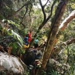 Núi Chúa – Khu dụ trữ sinh quyển thế giới _ Ảnh Ngọc Huệ