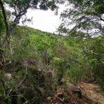 Núi Chúa – Khu dụ trữ sinh quyển thế giới _ Ảnh Ngọc Huệ