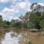 Khung cảnh yên bình đặc trưng của vùng sông nước phù sa.